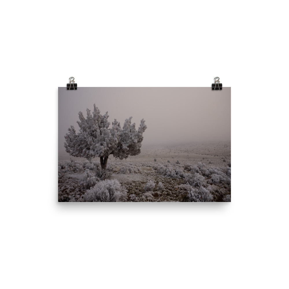 &quot;Winter Silence&quot; Poster, Size: 12×18