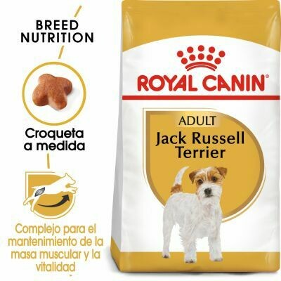 PIENSO ROYAL CANIN JACK RUSSELL ADULTO 3KG