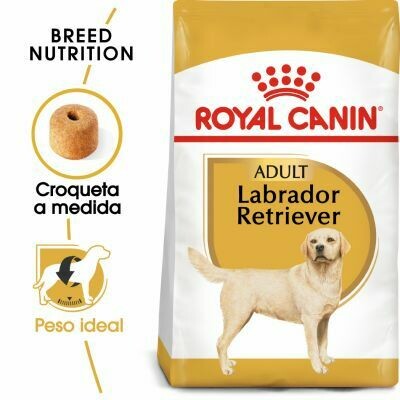 PIENSO ROYAL CANIN LABRADOR
RETRIEVER ADULT 12KG