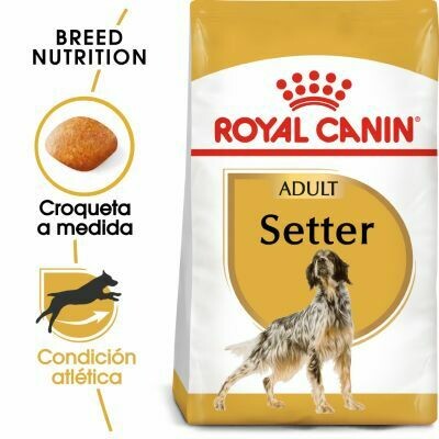 PIENSO ROYAL CANIN SETTER ADULT 12KG