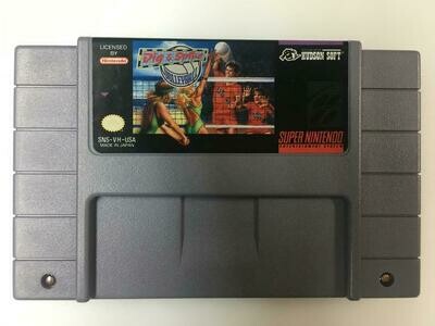 Dig and Spike Volleyball LOOSE (usagé)