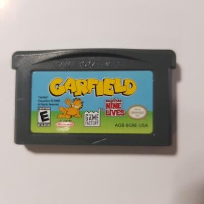 Garfield And His Nine Lives (usagé)