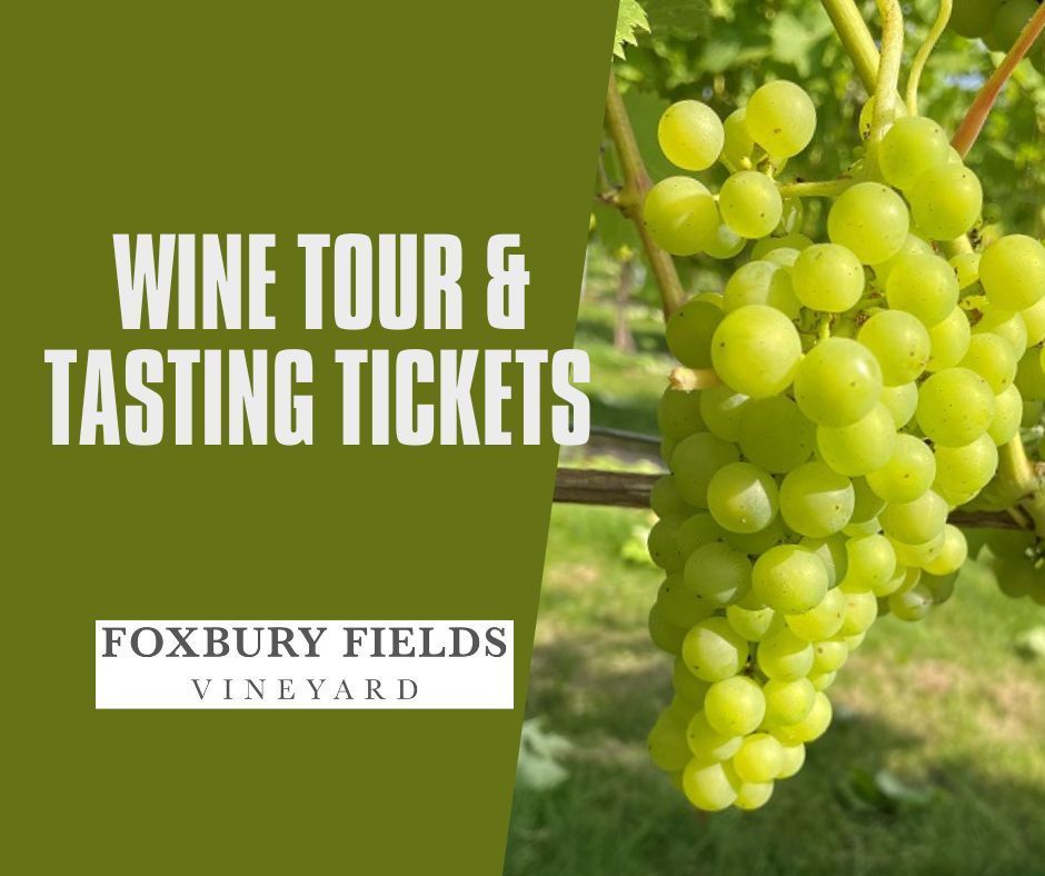 Wine Tours and Tastings