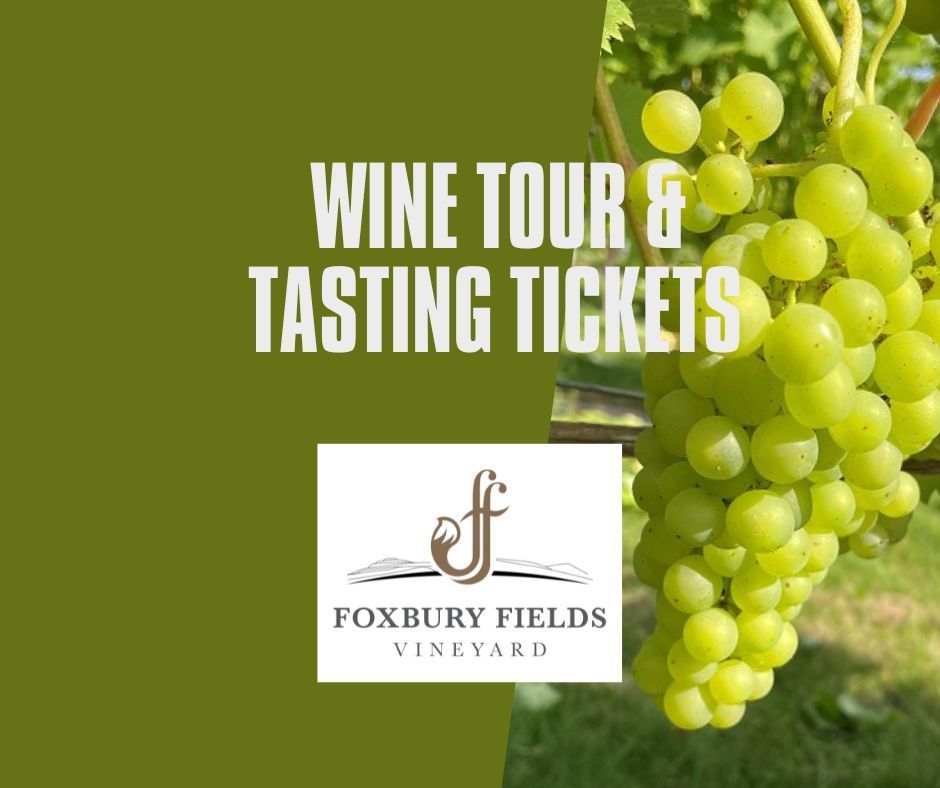 Wine Tours and Tastings