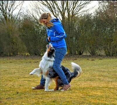Hundesport