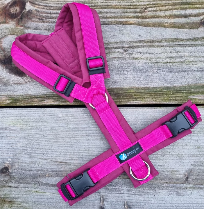 Leine Annyx Geschirr Bordeaux Pink
