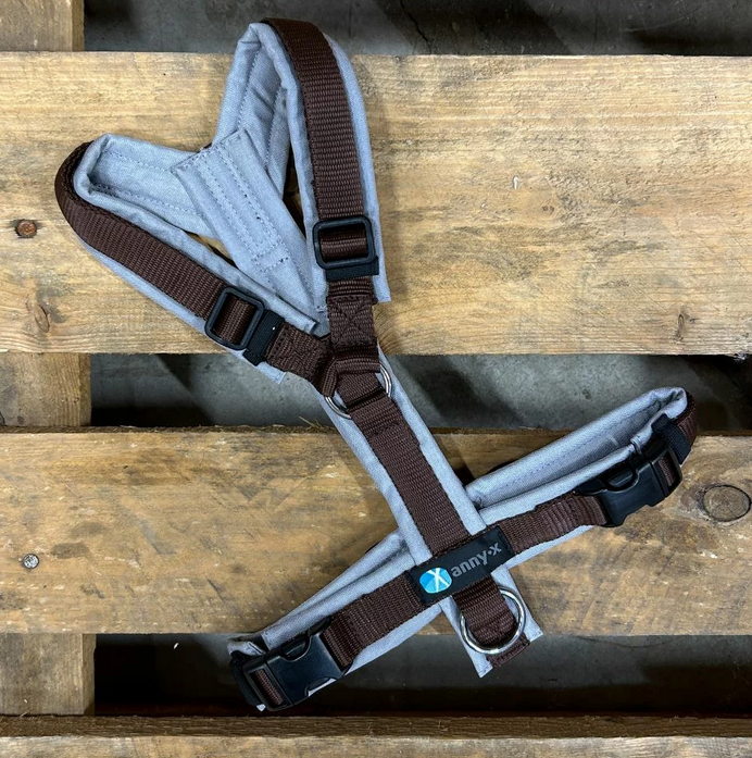 Leine Annyx Geschirr Grau Braun
