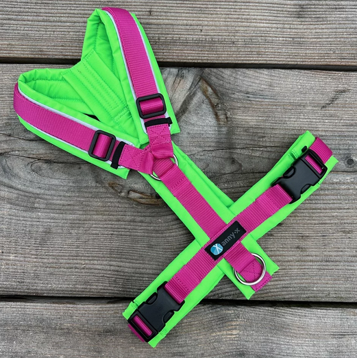 Leine Annyx Geschirr Leuchtgrün Pink