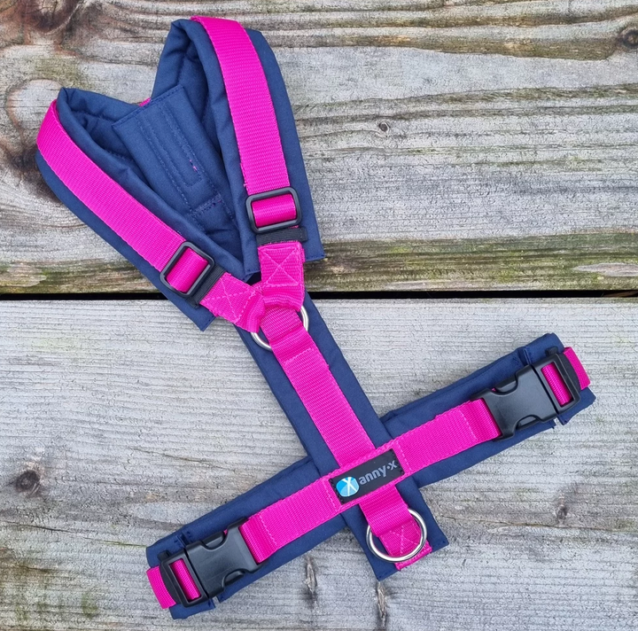 Leine Annyx Geschirr Marine Pink
