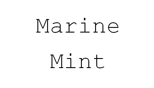 Leine Annyx Geschirr Marine Mint