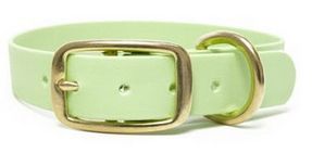 Biothanehalsband standard Biothanehalsband standard