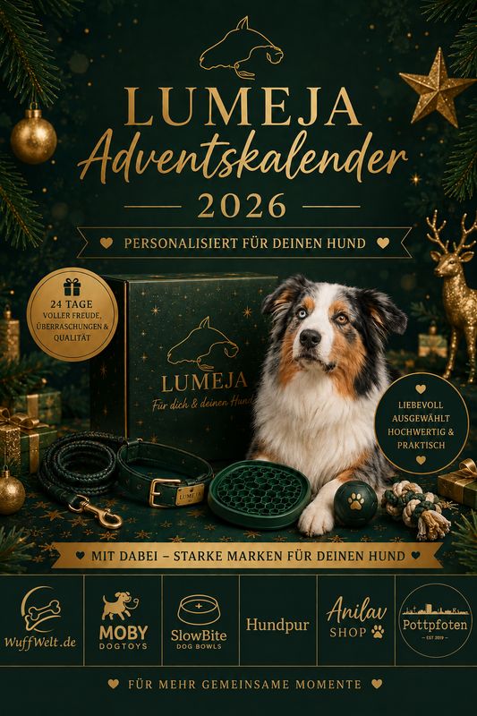 Lumeja Adventskalender 2026