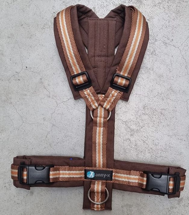 Leine Annyx Geschirr Kastanie