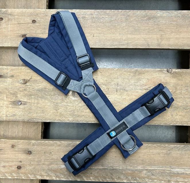 Leine Annyx Geschirr Marine Grau