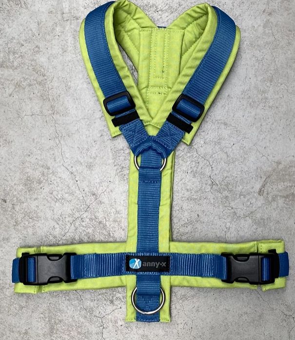 Leine Annyx Geschirr Vergissmeinnicht