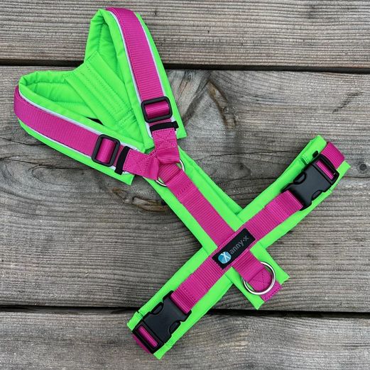 Leine Annyx Geschirr Leuchtgrün Pink