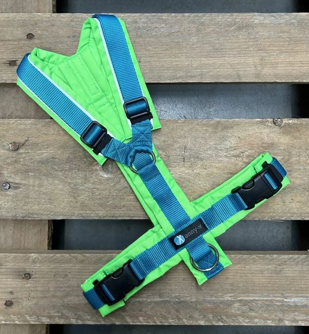 Leine Annyx Geschirr Leuchtgrün Saphir