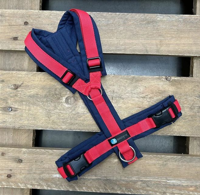 Leine Annyx Geschirr Marine Rot