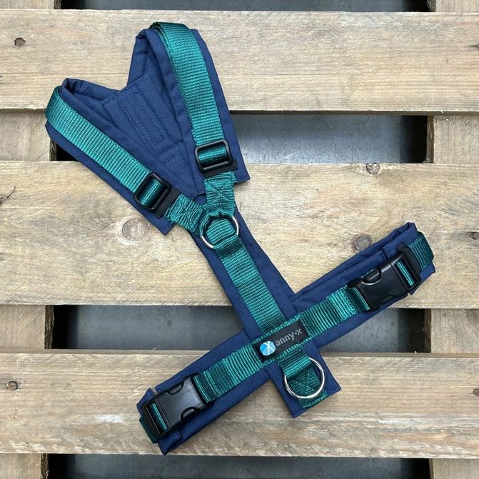 Leine Annyx Geschirr Marine Tannengrün