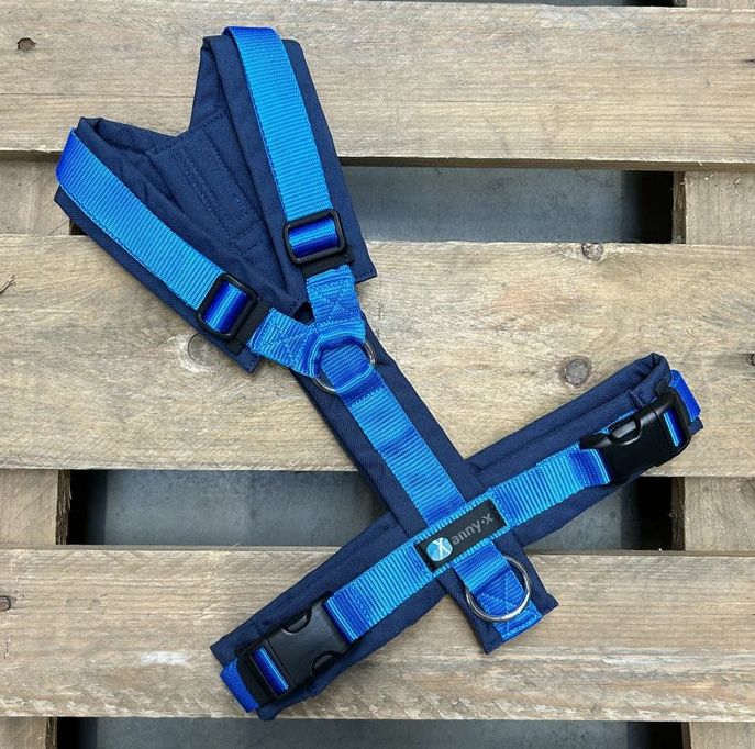 Leine Annyx Geschirr Marine Blau