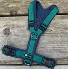 Leine Annyx Geschirr Marine Smaragd
