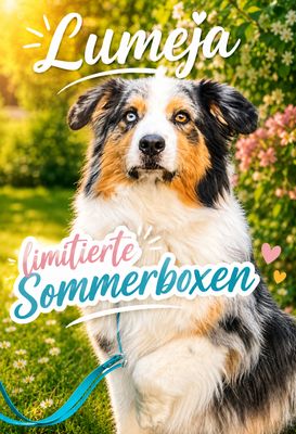 Sommerüberraschungsbox Sommerüberraschungsbox