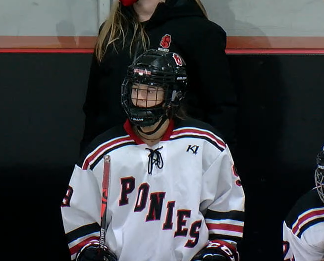 Stillwater vs White Bear Lake Girls Hockey : January 26, 2021 (DVD/BR)