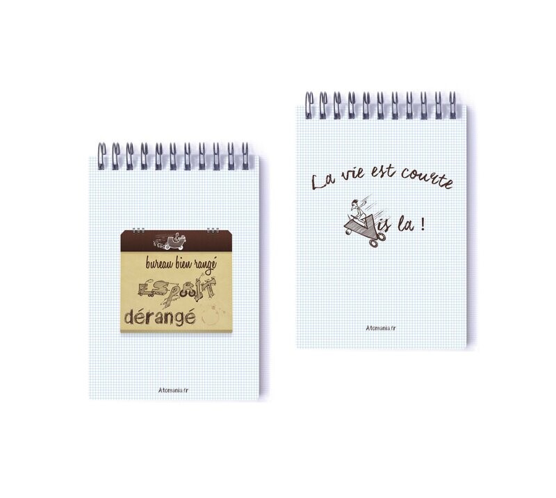 Carnet de notes à spirale Atomania : Bureau bien rangé, Esprit dérangé, 10,5 x 14,5 cm, couvertures rigides, 60 pages lignées