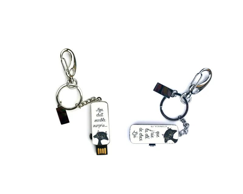 Clé USB humoristique 'Mon chat semble surpris' 16 Go – Cadeau amusant pour amoureux des chats, porte-clé métal, fabriqué en France