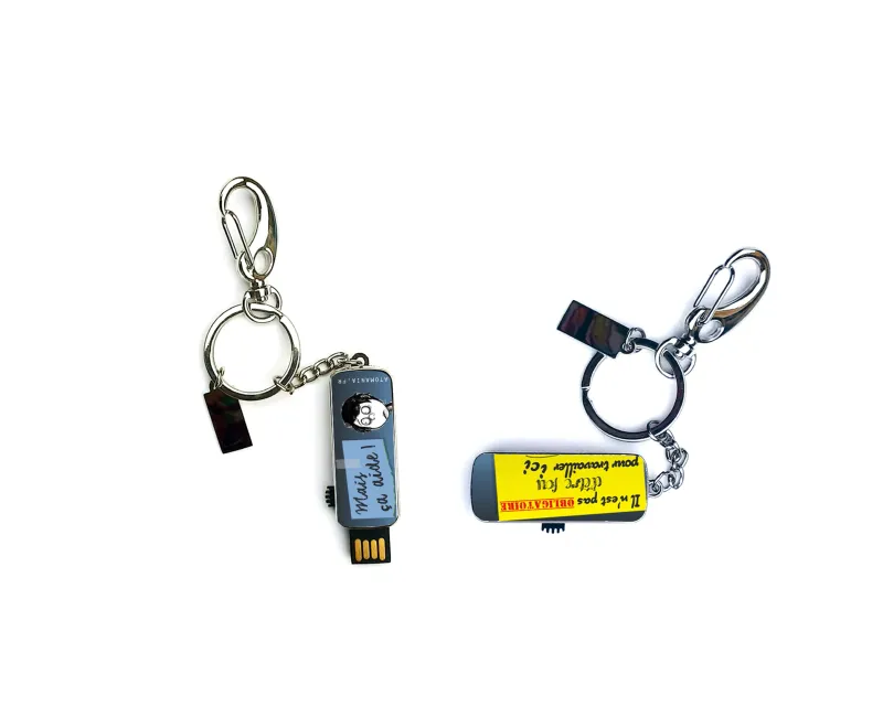 Clé USB porte-clé 16 Go 'Il n’est pas nécessaire d’être fou pour travailler ici' - Cadeau original et pratique en métal, fabriquée en France