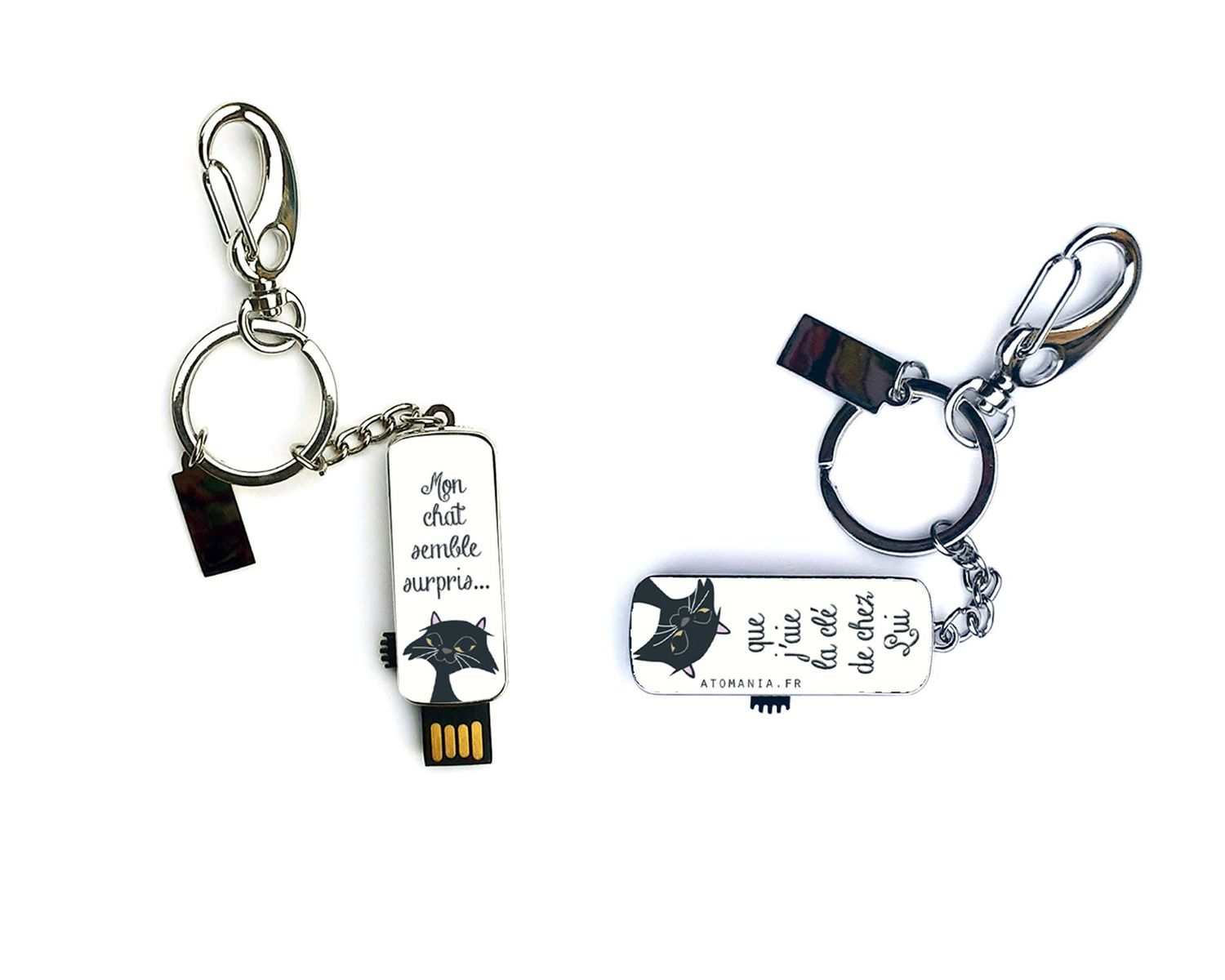 ? Clé USB « Mon chat semble surpris que j’aie la clé de chez Lui ! » ?️?