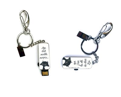 ? Clé USB « Mon chat semble surpris que j’aie la clé de chez Lui ! » ?️?
