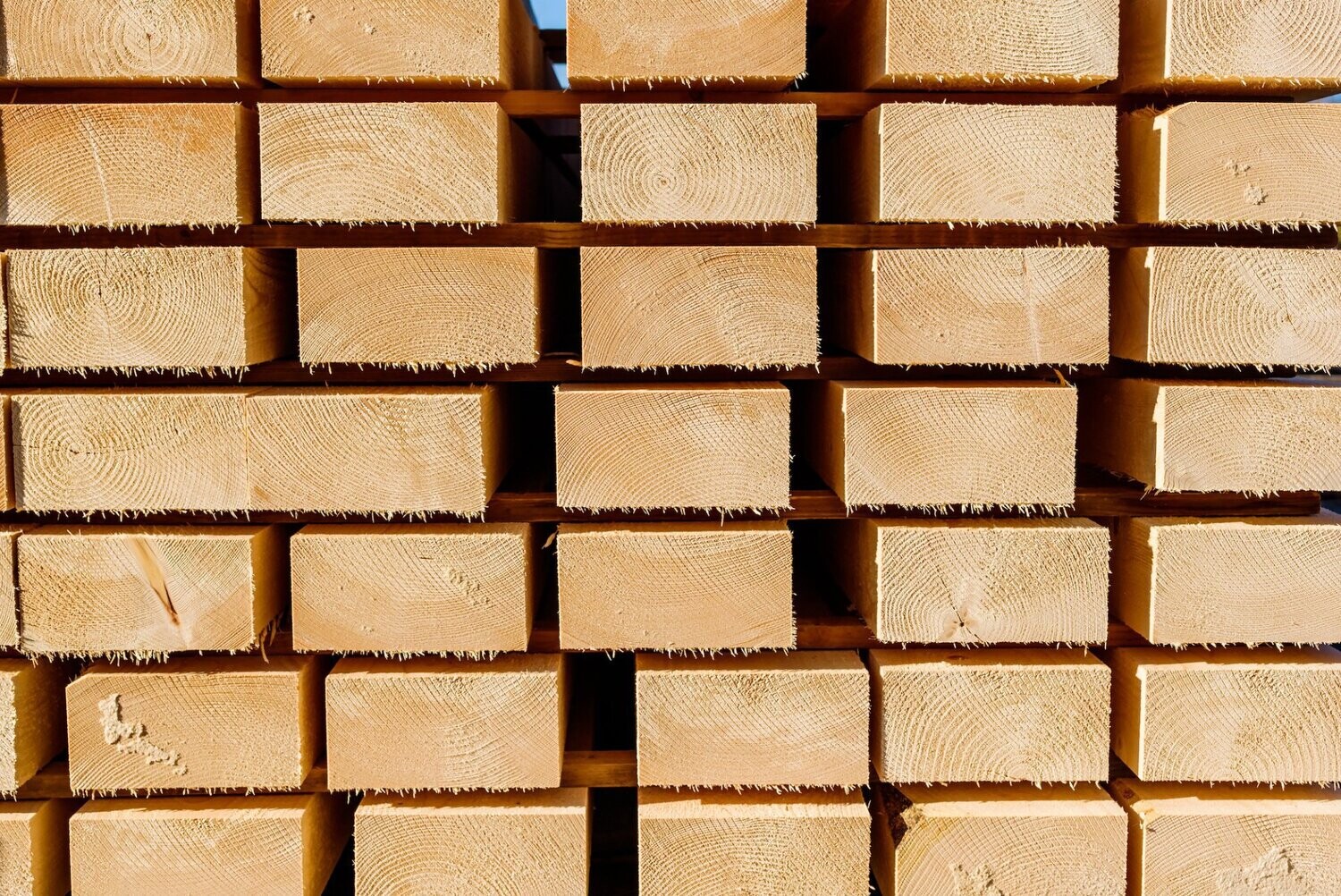 Kantholz 8 x 20 cm sägerau | 600 cm