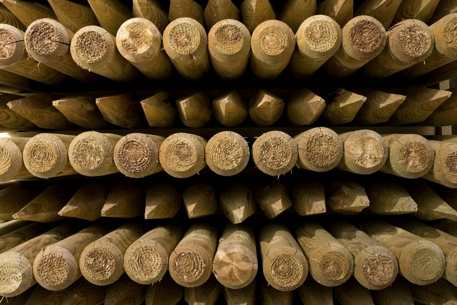 Baumpfähle Ø 65 mm KDI grün | 200 cm