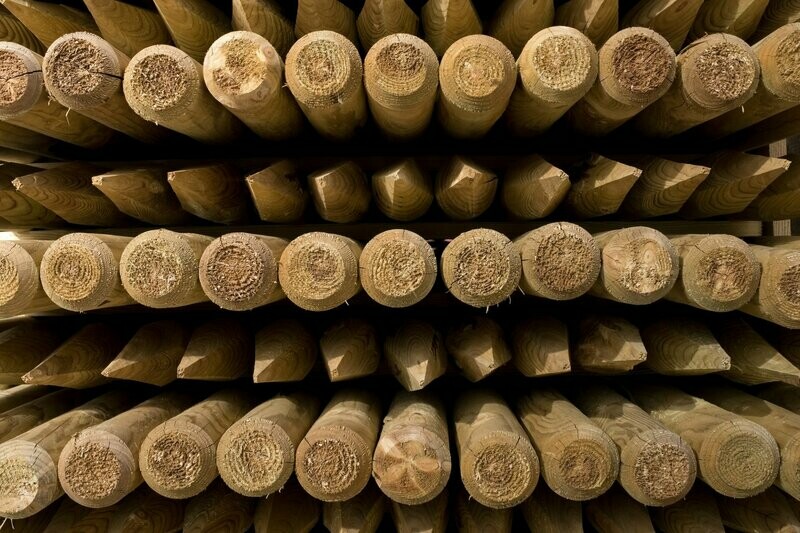 Baumpfähle Ø 80 mm KDI grün | 150 cm