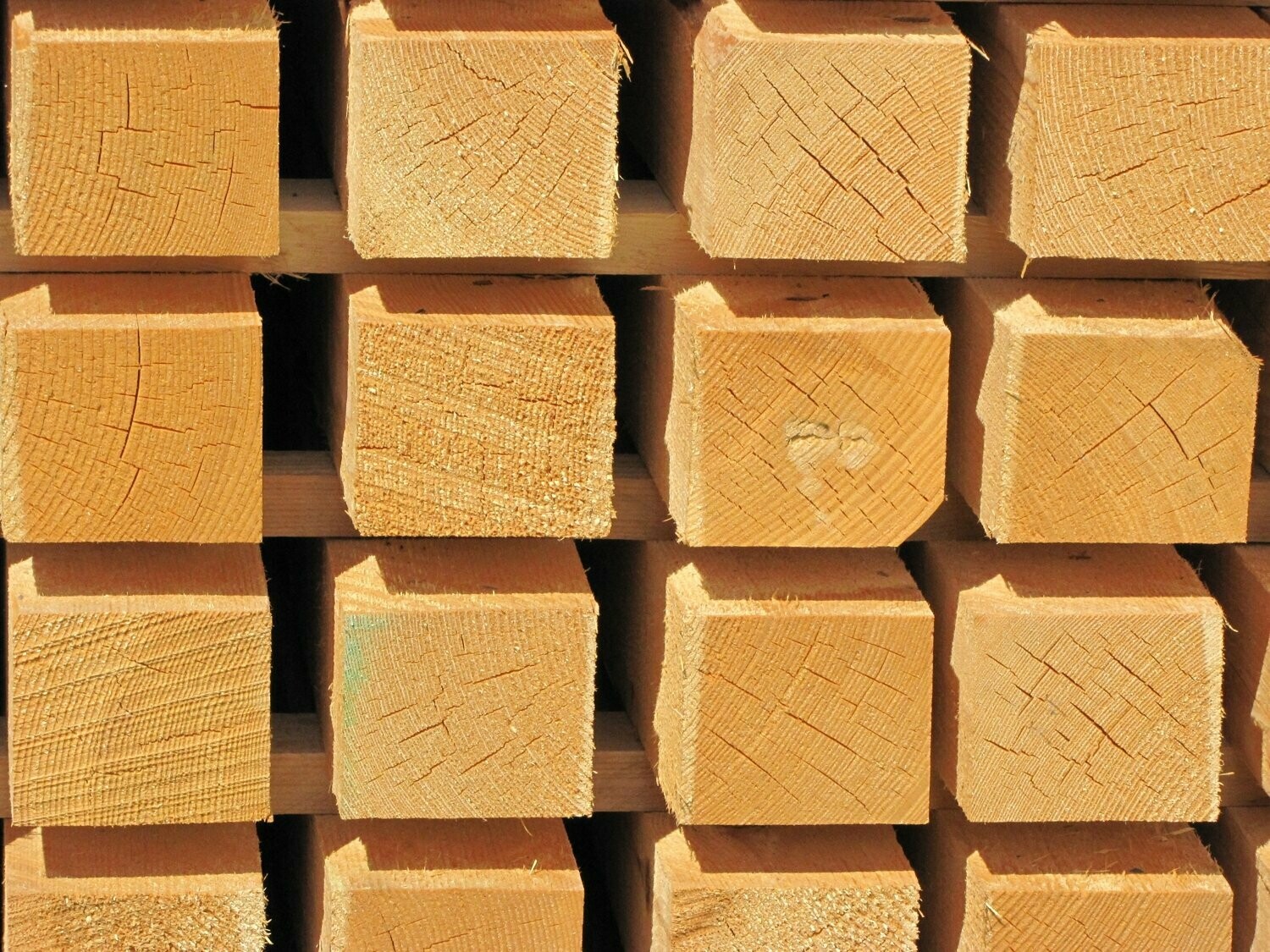 Kantholz 8 x 10 cm sägerau | 500 cm