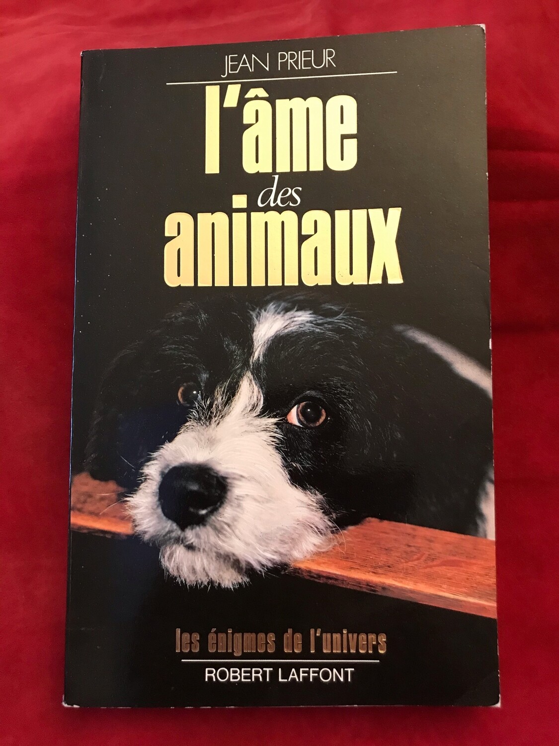 L&#39;âme des animaux
