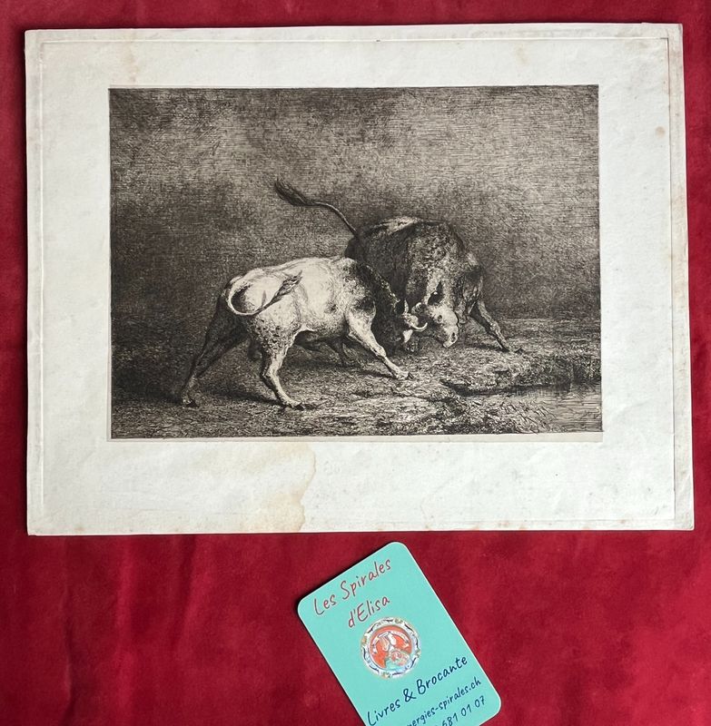 Gravure Combat de taureaux W.J. VERTOMMEN