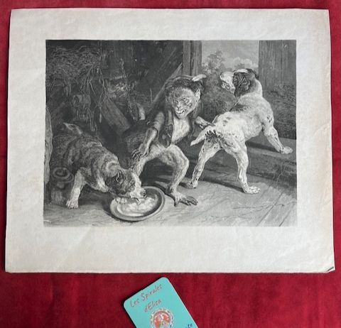 Gravure The Intruding Puppies (les chiots intrus) Th. LANDSEER