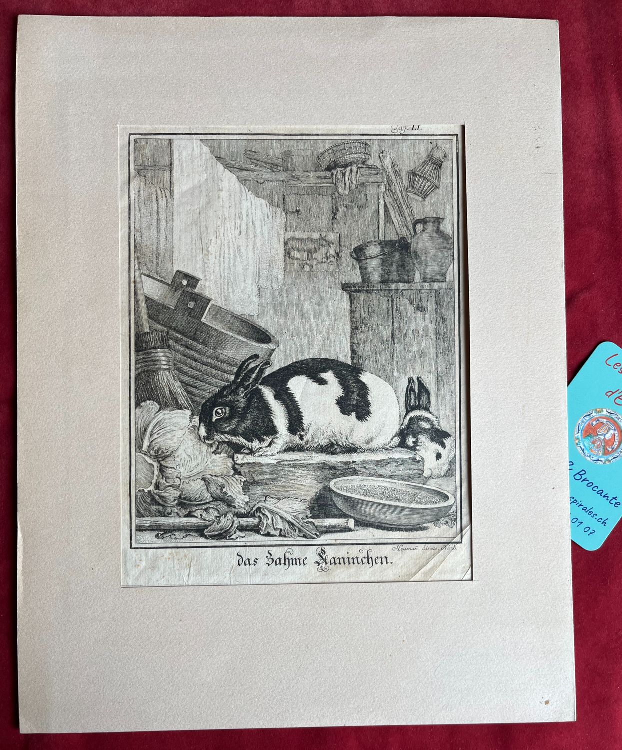 Gravure &quot;Das Zähne Kaninchen&quot; (le lapin délicat) G-D. HEUMANN