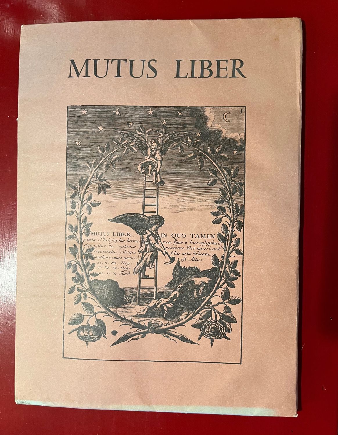 Mutus Liber