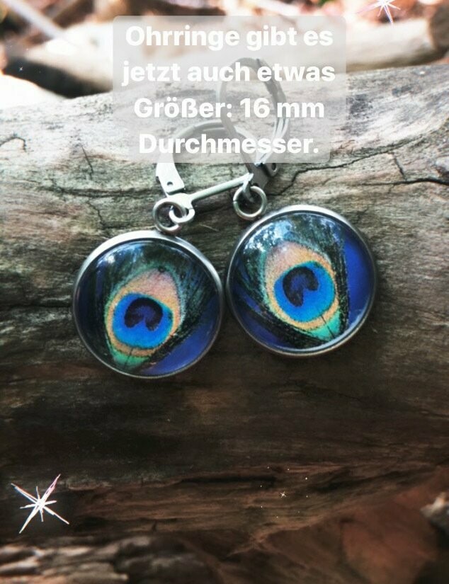 Pfauen Ohrringe groß