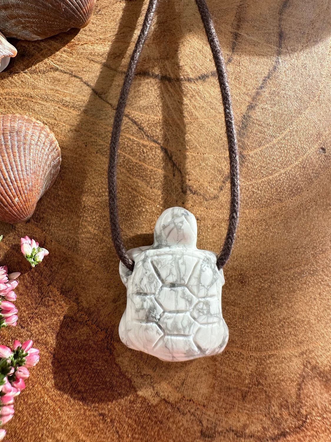 Krafttier Schildkröte Magnesit
