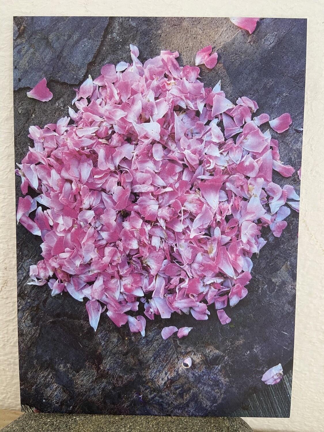 Postkarte Rosenblüten