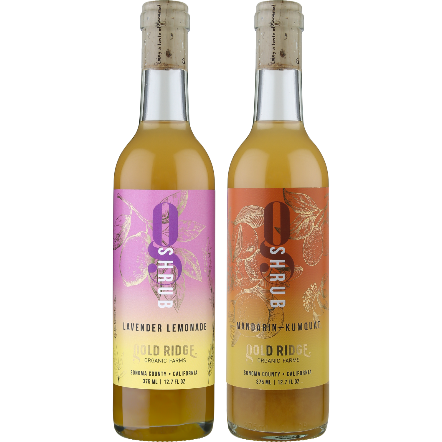 Shrub Duo | Lavender Lemonade &amp; Mandarin-Kumquat Shrubs | 375 ml each