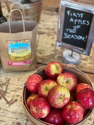 A bushel of organic heirloom apples on a wooden table. 