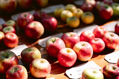 Organic Apples | Heirloom Blend 10# Box
