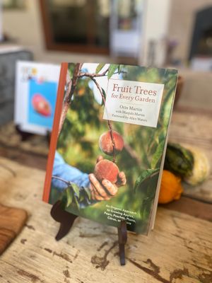 Books &amp; Merchandise
