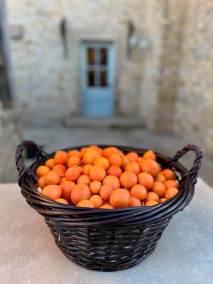 Organic Citrus | Mandarin-Kumquats | 3 pound box