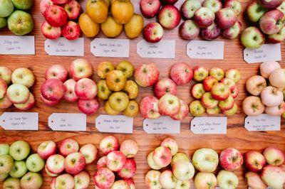 Organic Apples &amp; Pears